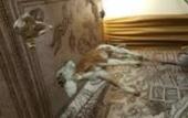 Туры в отель Hotel Minerva