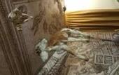 Туры в отель Hotel Minerva