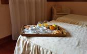 Туры в отель Hotel Minerva