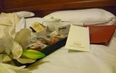 Туры в отель Hotel Minerva