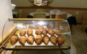 Туры в отель Hotel Minerva