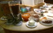 Туры в отель Hotel Minerva