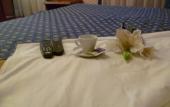 Туры в отель Hotel Minerva