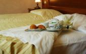 Туры в отель Hotel Minerva