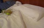 Туры в отель Hotel Minerva