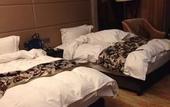 Туры в отель Wanfu International Hotel