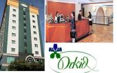 Туры в отель New Orchid Hotel