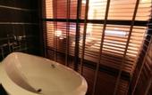 Туры в отель Tateshina Shinyu Onsen