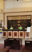 Туры в отель J-Hotel