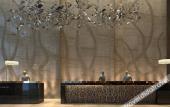 Туры в отель Golden Phoenix International Hotel