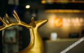 Туры в отель Ninglai Hotel(Shanghai Pudong International Airport)