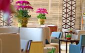 Туры в отель Juchunyuan Exhibition Hotel