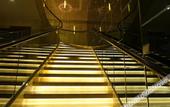 Туры в отель Taifu International Hotel