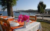 Туры в отель Gumbet Cove Hotel