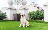 Туры в отель 200 Rooms & Terrace