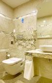Туры в отель Regenta Central The Crystal