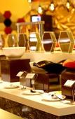 Туры в отель Regenta Central The Crystal