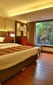 Туры в отель Regenta Central The Crystal