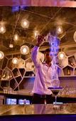 Туры в отель Regenta Central The Crystal