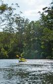 Туры в отель Discovery Parks - Lane Cove