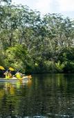 Туры в отель Discovery Parks - Lane Cove
