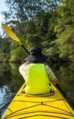 Туры в отель Discovery Parks - Lane Cove