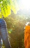 Туры в отель Discovery Parks - Lane Cove
