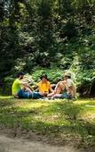 Туры в отель Discovery Parks - Lane Cove