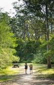 Туры в отель Discovery Parks - Lane Cove