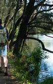 Туры в отель Discovery Parks - Lane Cove