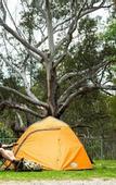 Туры в отель Discovery Parks - Lane Cove