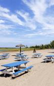 Туры в отель Westin Trillium House, Blue Mountain