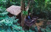 Туры в отель Our Jungle House