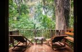 Туры в отель Our Jungle House