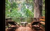 Туры в отель Our Jungle House