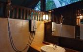 Туры в отель Our Jungle House