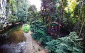 Туры в отель Our Jungle House