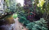 Туры в отель Our Jungle House