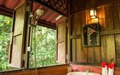 Туры в отель Our Jungle House