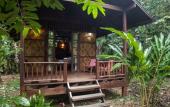 Туры в отель Our Jungle House