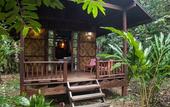 Туры в отель Our Jungle House