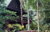 Туры в отель Our Jungle House