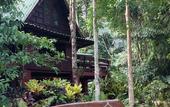 Туры в отель Our Jungle House