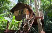 Туры в отель Our Jungle House