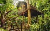 Туры в отель Our Jungle House