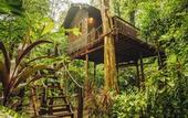 Туры в отель Our Jungle House