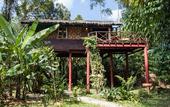 Туры в отель Our Jungle House