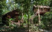 Туры в отель Our Jungle House