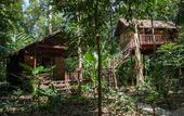 Туры в отель Our Jungle House