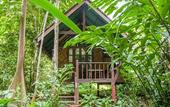 Туры в отель Our Jungle House
